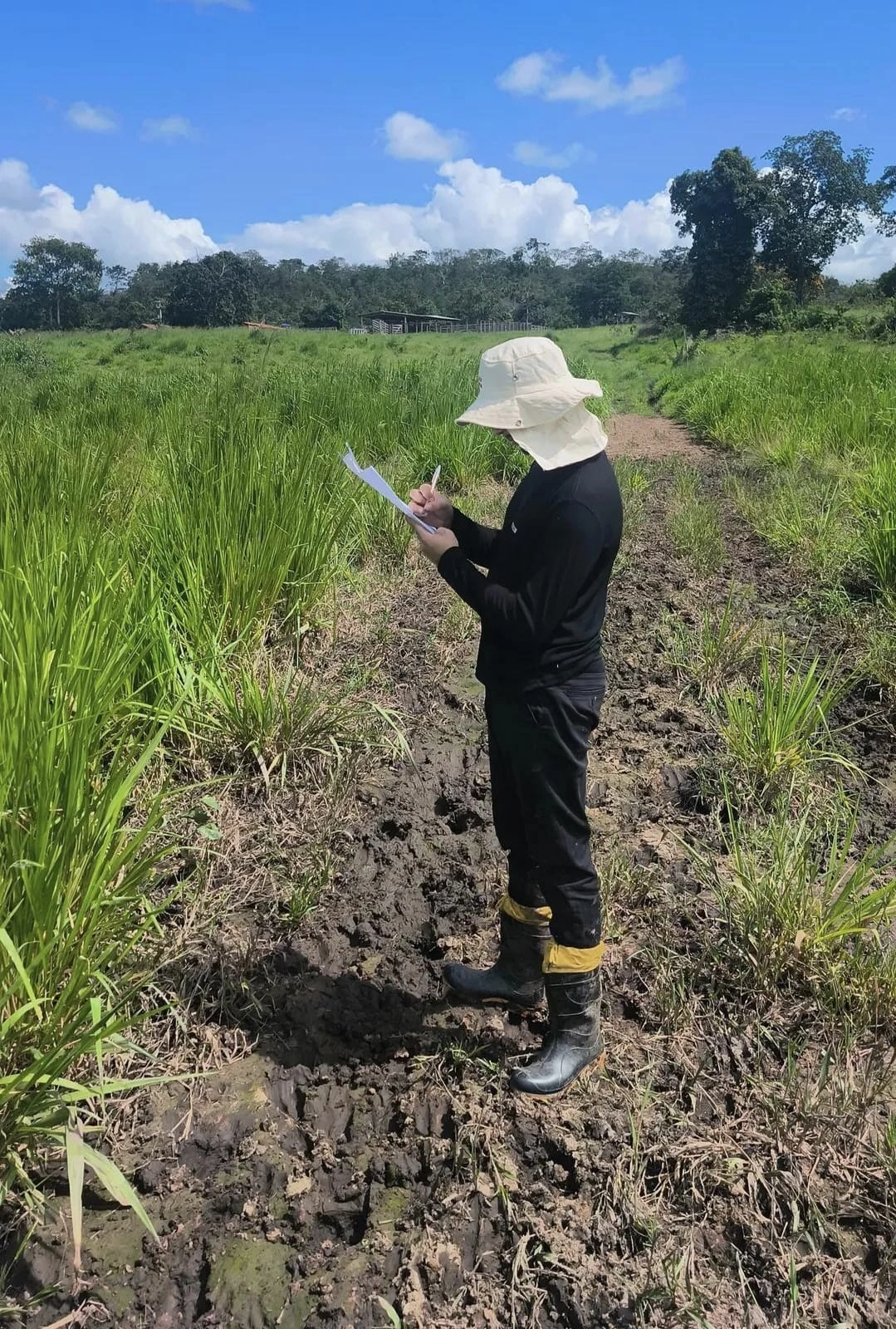 Profissional em campo durante consultoria ambiental